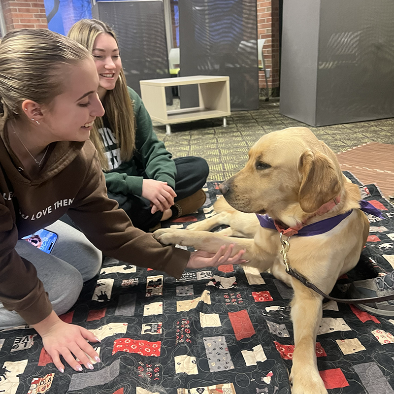 Students engaging with a dog